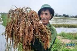 Mưa lớn gây ngập úng nghiêm trọng ở xã Hoằng Thanh
