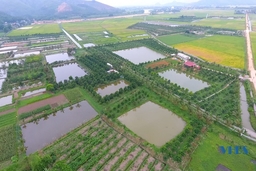 Sức sống mới ở xã nông thôn mới Hà Sơn