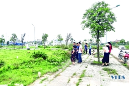 Kịp thời chấn chỉnh tình trạng “bỏ cọc”sau đấu giá đất