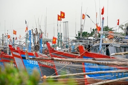 Huyện Hậu Lộc triển khai các biện pháp ứng phó với bão và mưa lũ
