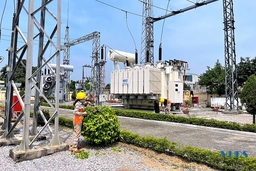 “Hoa Điện 110kV”