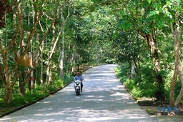 Chiêm ngưỡng bức tranh Trường Lệ