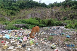 Mường Lát: Bãi tập kết rác thải ảnh hưởng đến đời sống người dân