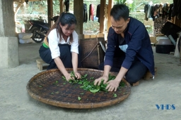 Phát huy tiềm năng, thế mạnh để phát triển kinh tế ở xã biên giới Hiền Kiệt