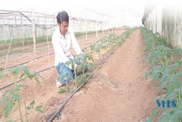 Sức trẻ vùng biên Quan Sơn