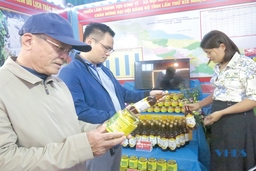 Phát triển thương hiệu, liên kết tiêu thụ sản phẩm OCOP mật ong