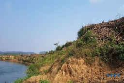 Nỗi lo sạt lở ven sông Mã thuộc địa bàn xã Cẩm Vân