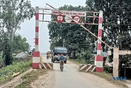 Tăng cường quản lý, xử lý vi phạm pháp luật về đê điều