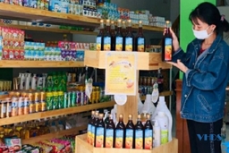 Mật ong hoa rừng Thọ Bình trên hành trình hướng tới sản phẩm OCOP
