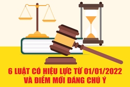[Infographics] - 6 Luật có hiệu lực từ 01/01/2022 và điểm mới đáng chú ý