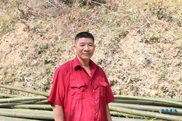 Giá luồng nguyên liệu “lao dốc”, nhiều hộ dân lo lắng