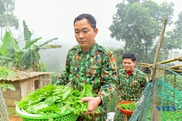Tăng gia ở Đồn Biên phòng cửa khẩu quốc tế Na Mèo