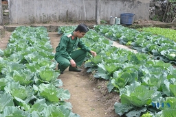Cán bộ, chiến sỹ Đảo Mê tăng gia sản xuất