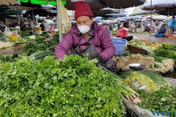 Giá rau xanh hạ nhiệt