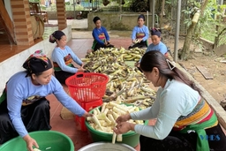 Phát triển cây luồng và làm du lịch sinh thái ở xã vùng cao Phú Nghiêm