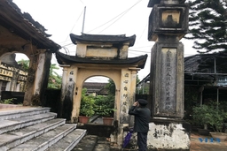 Rêu phong Chùa Tạu