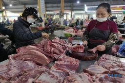 Giá thịt lợn bình ổn dịp cuối năm