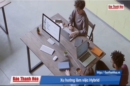Xu hướng làm việc hybrid