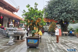 Mùa xuân thăm đền Hàn Sơn và đền Cô Bơ
