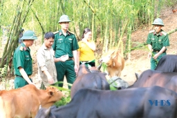 Đoàn Kinh tế quốc phòng 5, giúp người dân vùng biên phát triển kinh tế