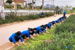 Nhiều hoạt động hưởng ứng “Tháng thanh niên” của tuổi trẻ huyện Thọ Xuân