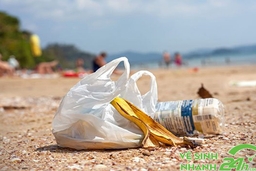 Mỗi người phải là một chủ thể