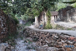 Nét đẹp thôn Phượng Lĩnh