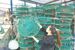 Sinh kế cho những lao động trở về từ vùng dịch