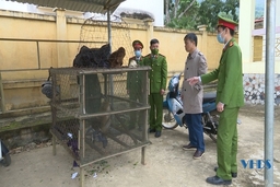Đẩy mạnh tuyên truyền vận động người dân không săn bắt, mua bán, nuôi nhốt động vật hoang dã