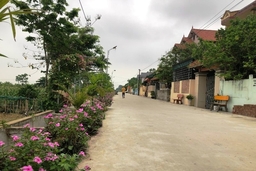Về Hiển Vinh, thôn NTM kiểu mẫu đầu tiên của huyện Hậu Lộc