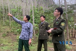 Tăng cường quản lý bảo vệ, phòng cháy, chữa cháy rừng mùa nắng nóng