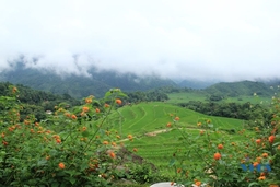 Trải nghiệm bản Đôn