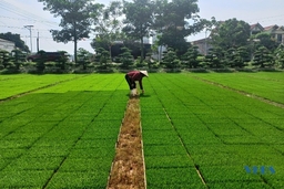 Cận cảnh quy trình sản xuất mạ khay