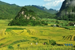 Ban Công: Điểm kết nối của khu du lịch Pù Luông