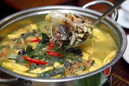 Món ngon từ ba ba