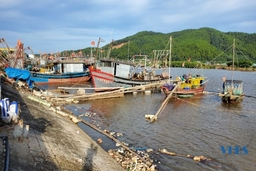Giá xăng dầu giảm, chủ tàu vẫn lưỡng lự vươn khơi