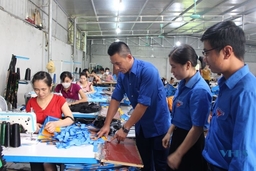Tuổi trẻ Như Thanh xung kích trong phát triển kinh tế