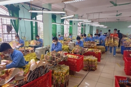 Cơ sở Cai nghiện ma túy số 1 Thanh Hoá đào tạo  nghề góp phần nâng cao hiệu quả điều trị