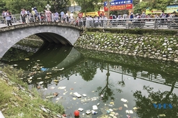 Ô nhiễm ở hồ điều hòa