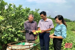 Những điển hình bí thư chi bộ, trưởng ban công tác mặt trận ở khu dân cư