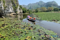 Thu này vãn cảnh Kim Sơn