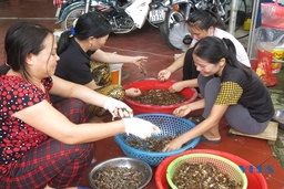 Chương trình OCOP đã và đang tạo nhiều việc làm cho lao động