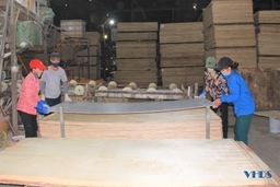 Bên trong nhà máy sản xuất ván ép xuất khẩu