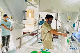 Nhà máy chế biến tinh bột sắn vào vụ ép mới