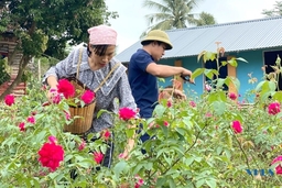 Người biến hoa hồng thành mỹ phẩm hữu cơ