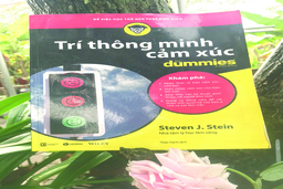 Trí thông minh cảm xúc: Từ hiểu đến làm chủ