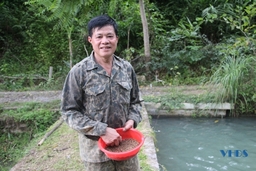 Đầu tư nuôi cá, phát triển du lịch cộng đồng