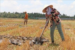 Nghĩa của “Vạc” trong “Vỡ vạc”