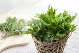 Thương mùa ngải đắng