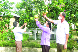 Đông Sơn: Đẩy mạnh sản xuất nâng cao thu nhập cho người dân